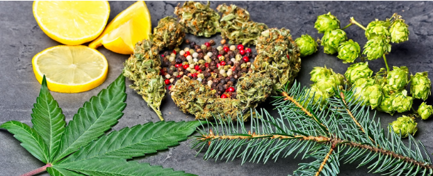 cannabis flower guide.png