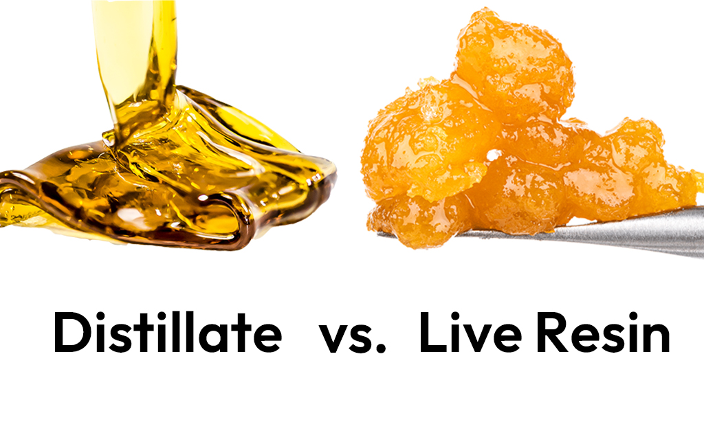 Live-Resin-vs-Distillate.jpg