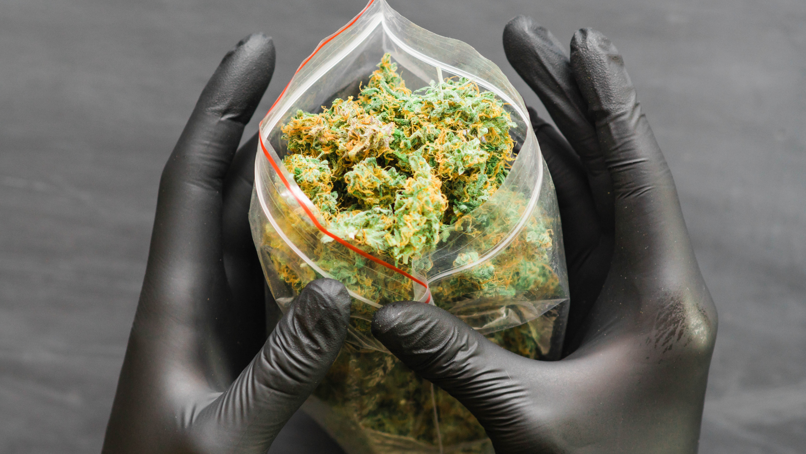 weed 1.png