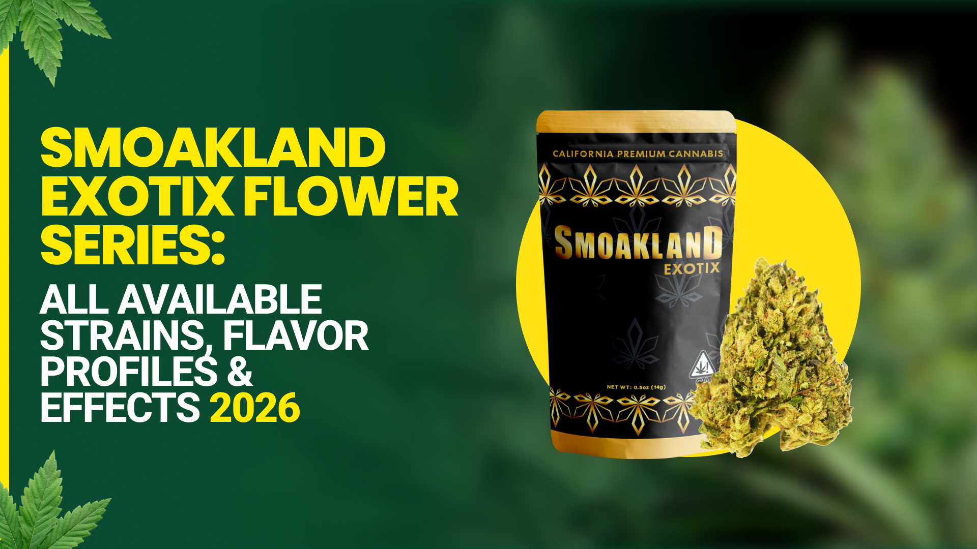The Best Same Day Weed Delivery in California | Smoakland