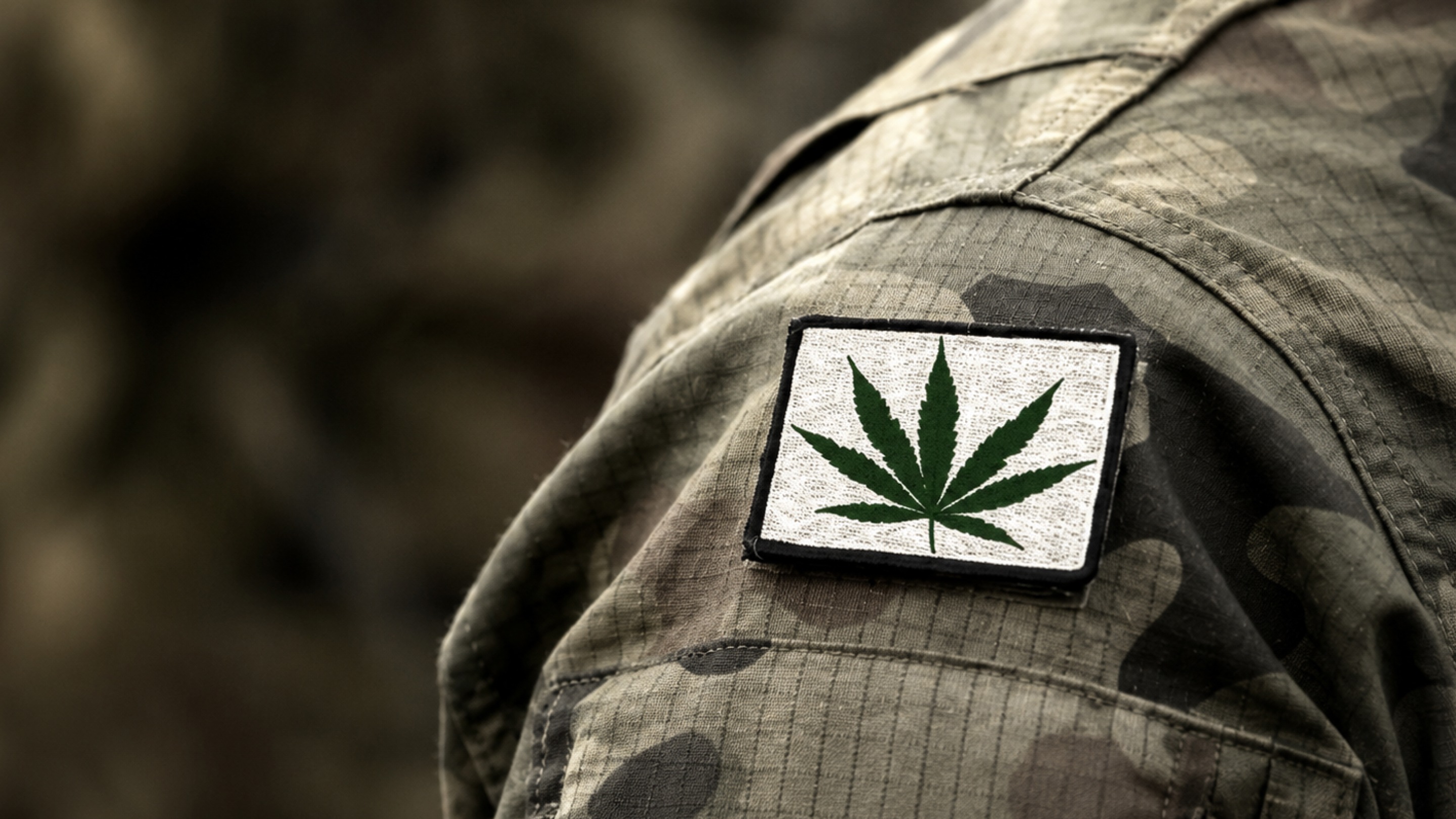 Free Medical Cannabis for Veterans in California___.jpg