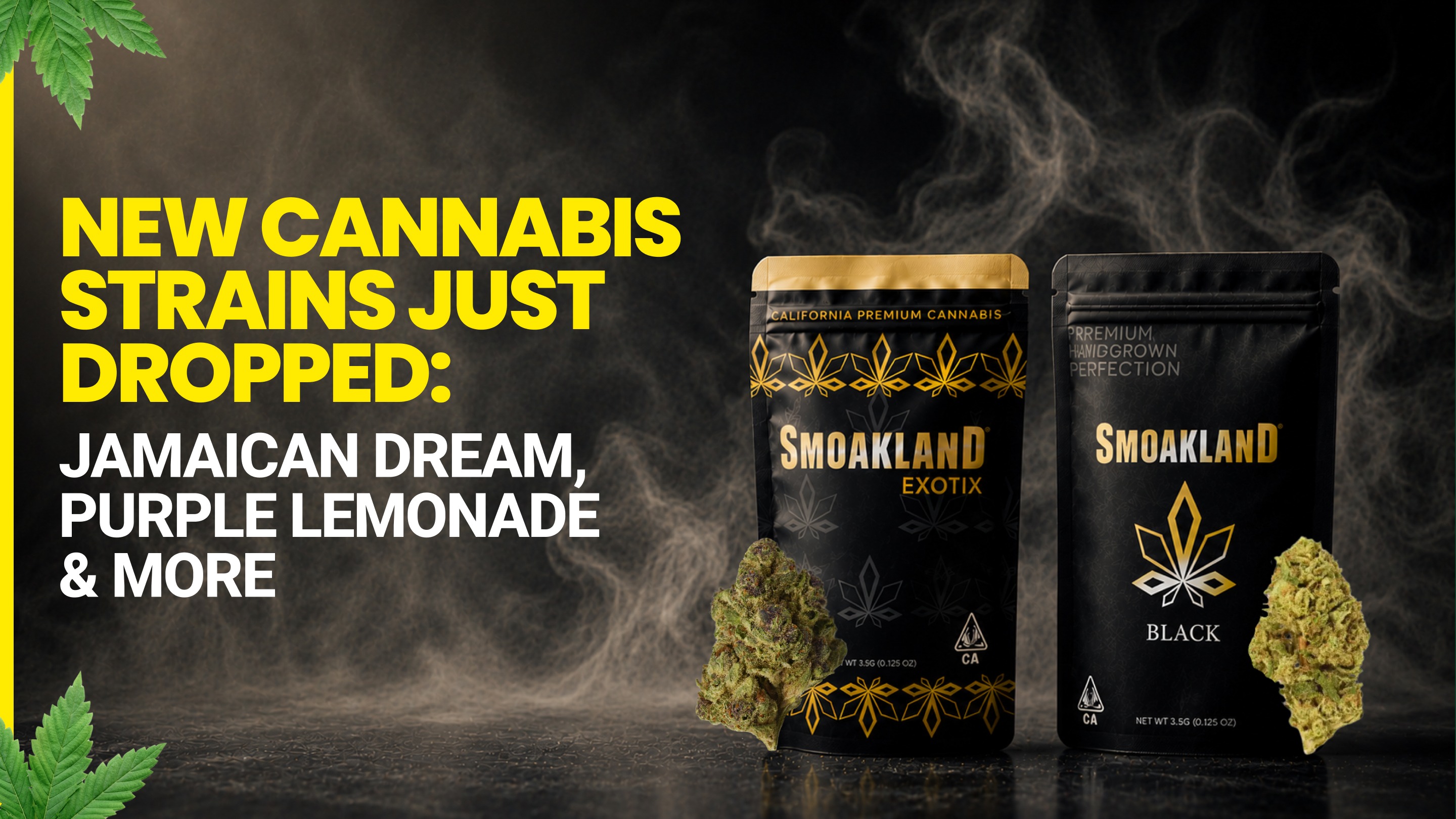 New Cannabis Strains 2026 | Jamaican Dream & More