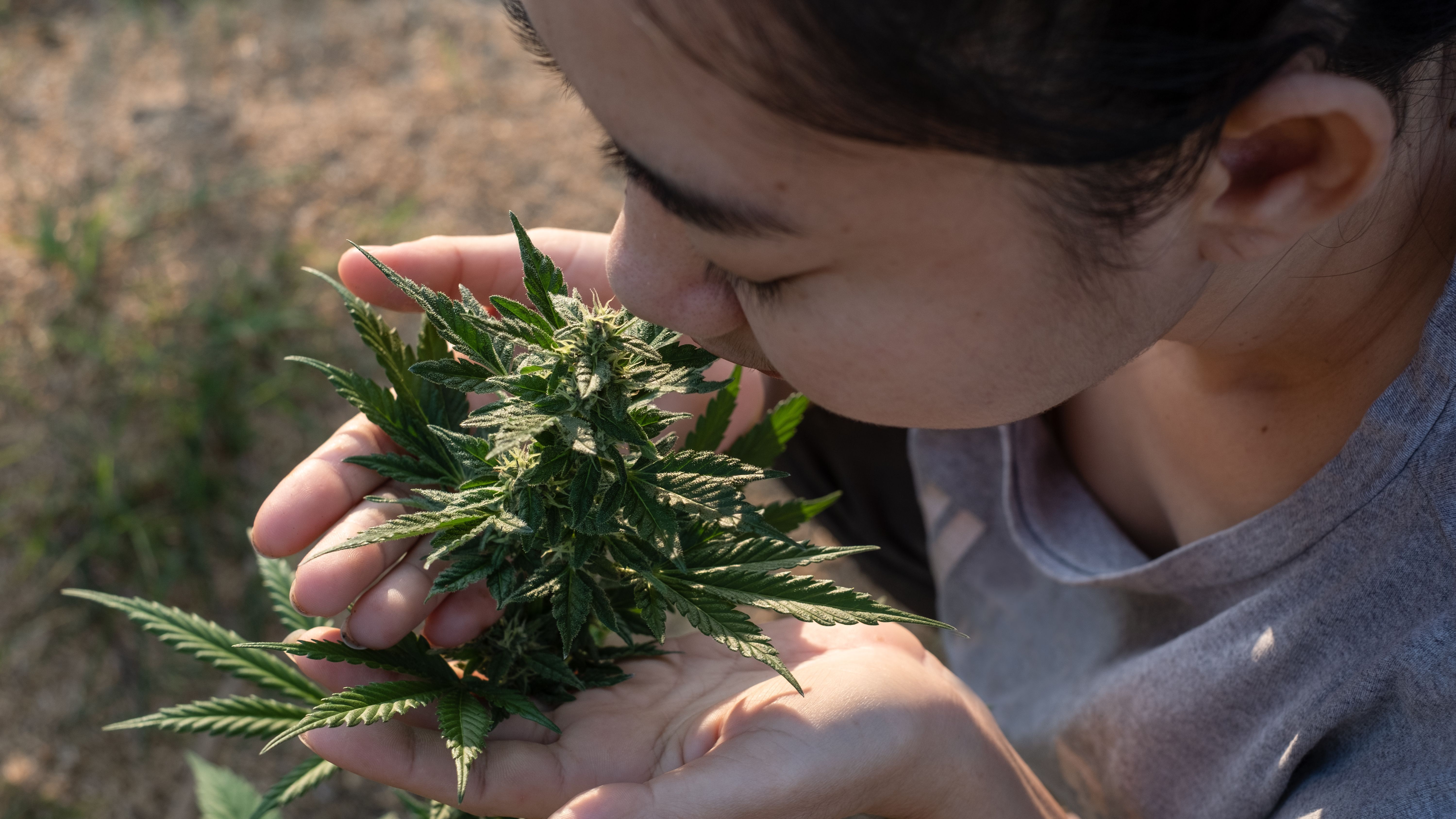 asia-woman-smelling-marijuana-flower
