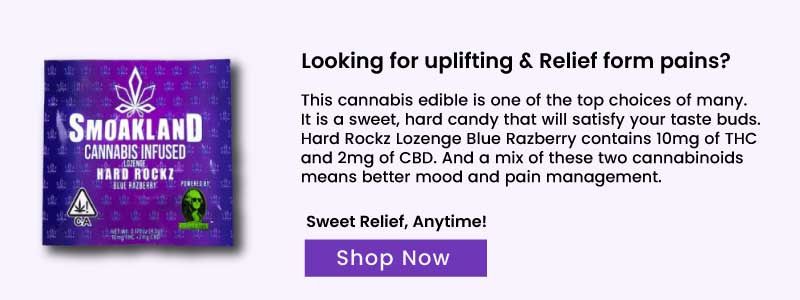 https://smokeland.com/?category=Edibles