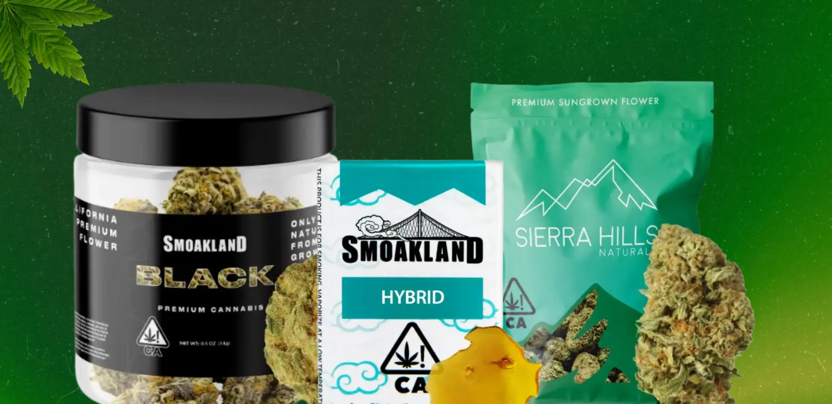 50 Hybrid Cannabis Strain Terpenes, Effects & How to Choose