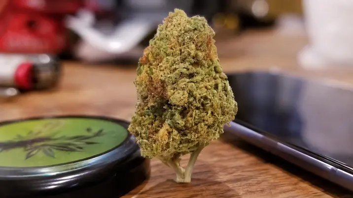 Biscotti Strain Effects, Terpenes, Genetics