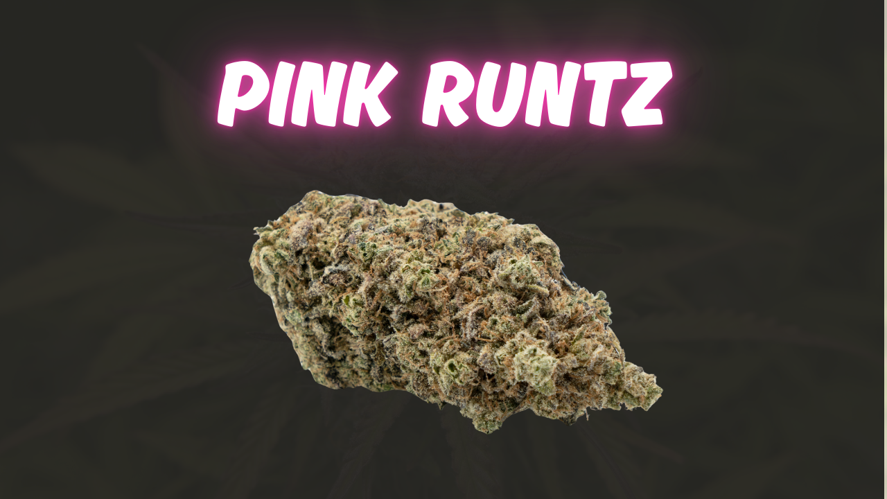 Pink Runtz (2).png