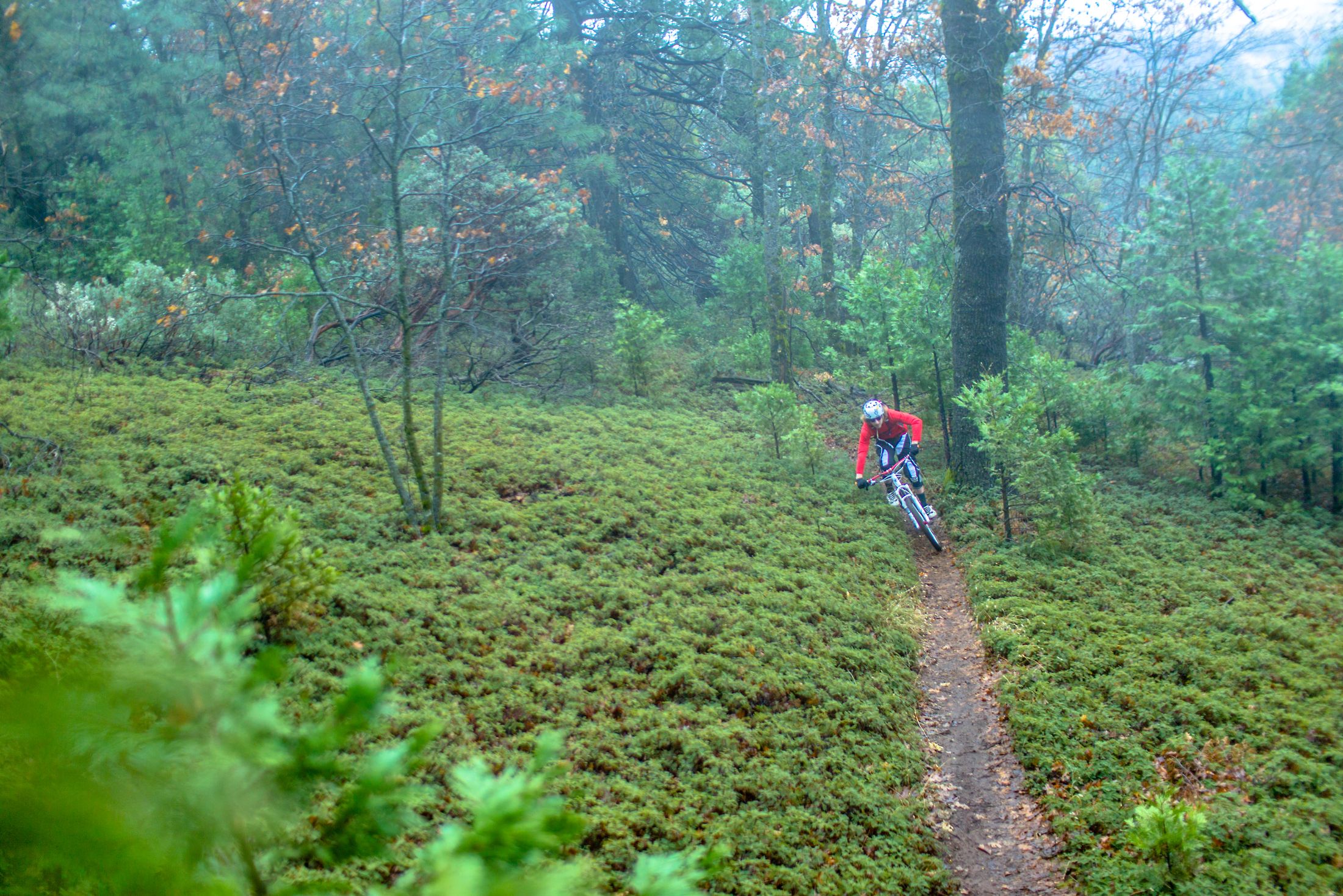 A Chilly Morning Rip