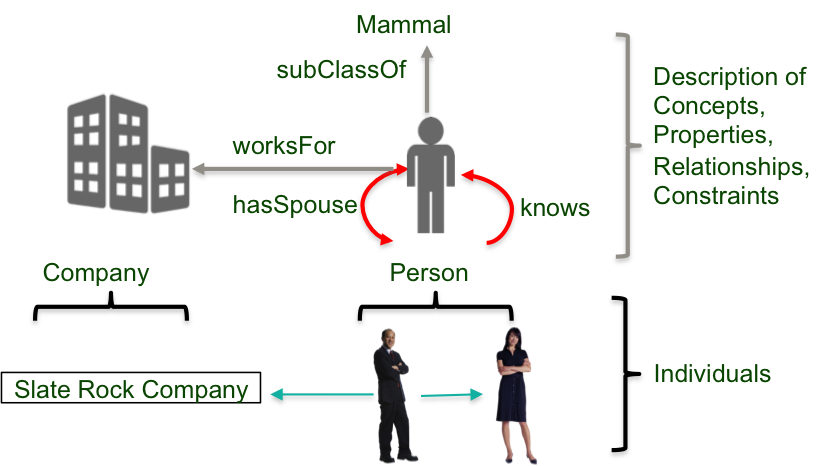 image (1).png