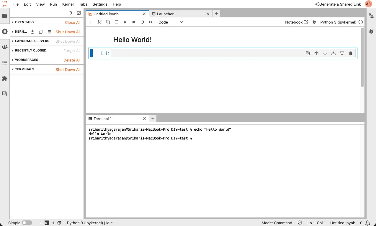 Notebook with multiple browser tabs open (notebook + file view + terminal tab).webp
