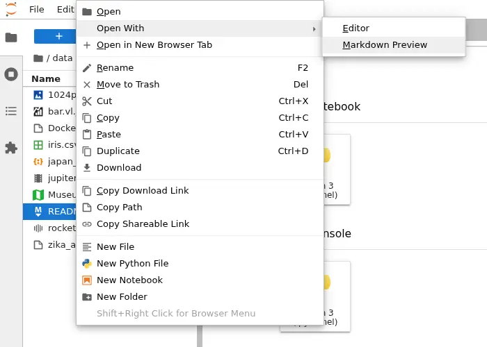 JupyterLab with notebook, utils.py, and terminal open in one window.webp