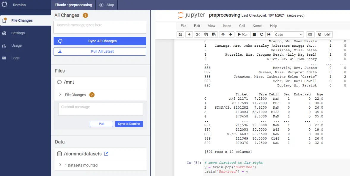 Domino-data-labs.webp