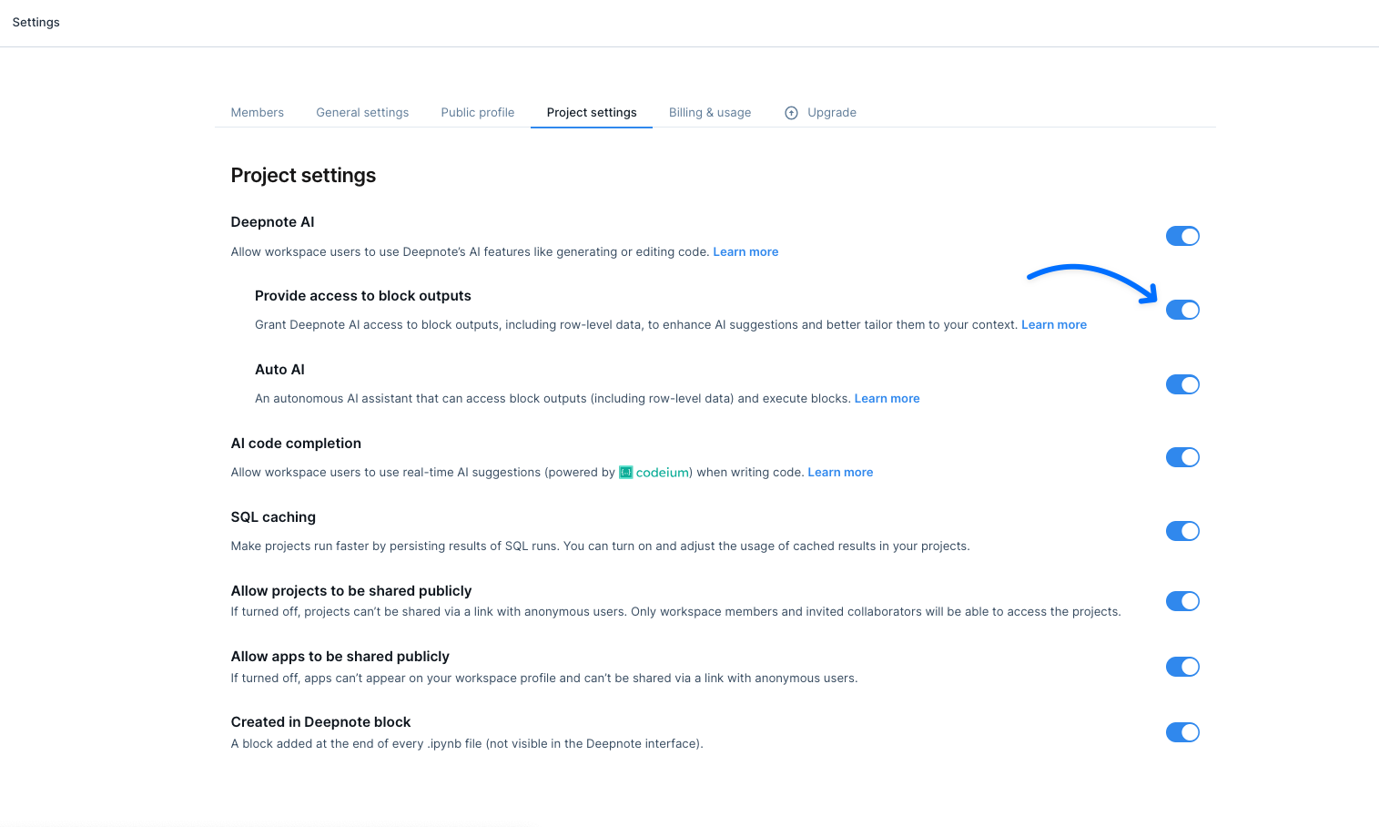 deepnote ai outputs setting.png