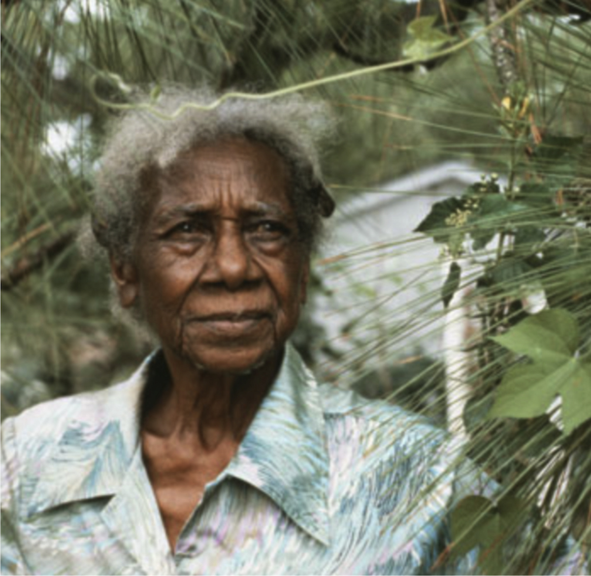 Emma Dupree, about 1994. Public domain image via Wikimedia Commons