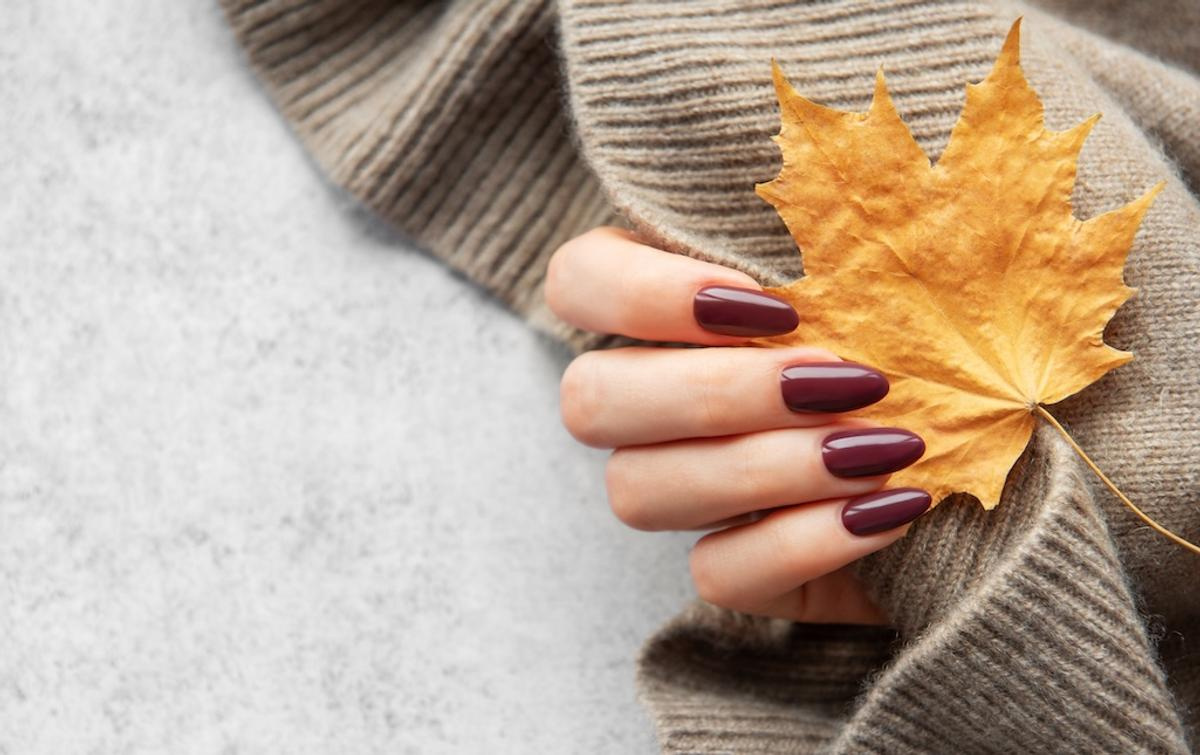 Fall Nail Trends to Expect in 2026