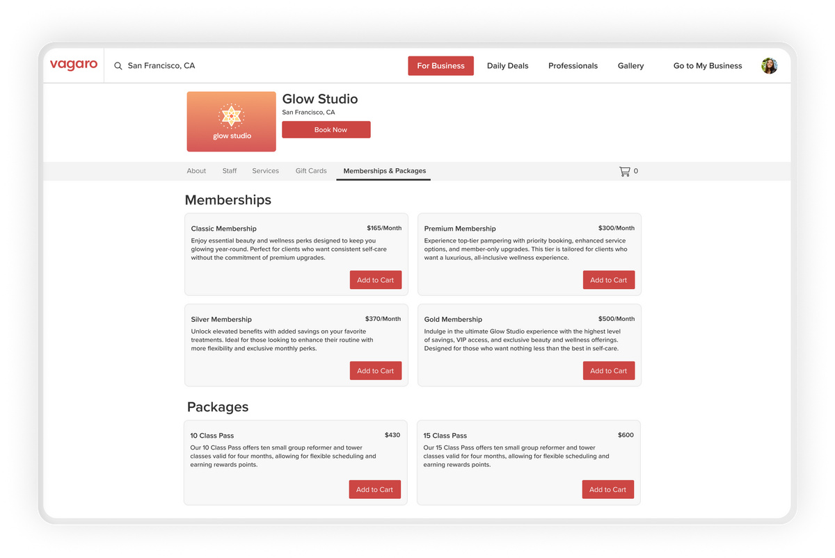 Software screen showing a San Francisco salon's memberships and packages for sale