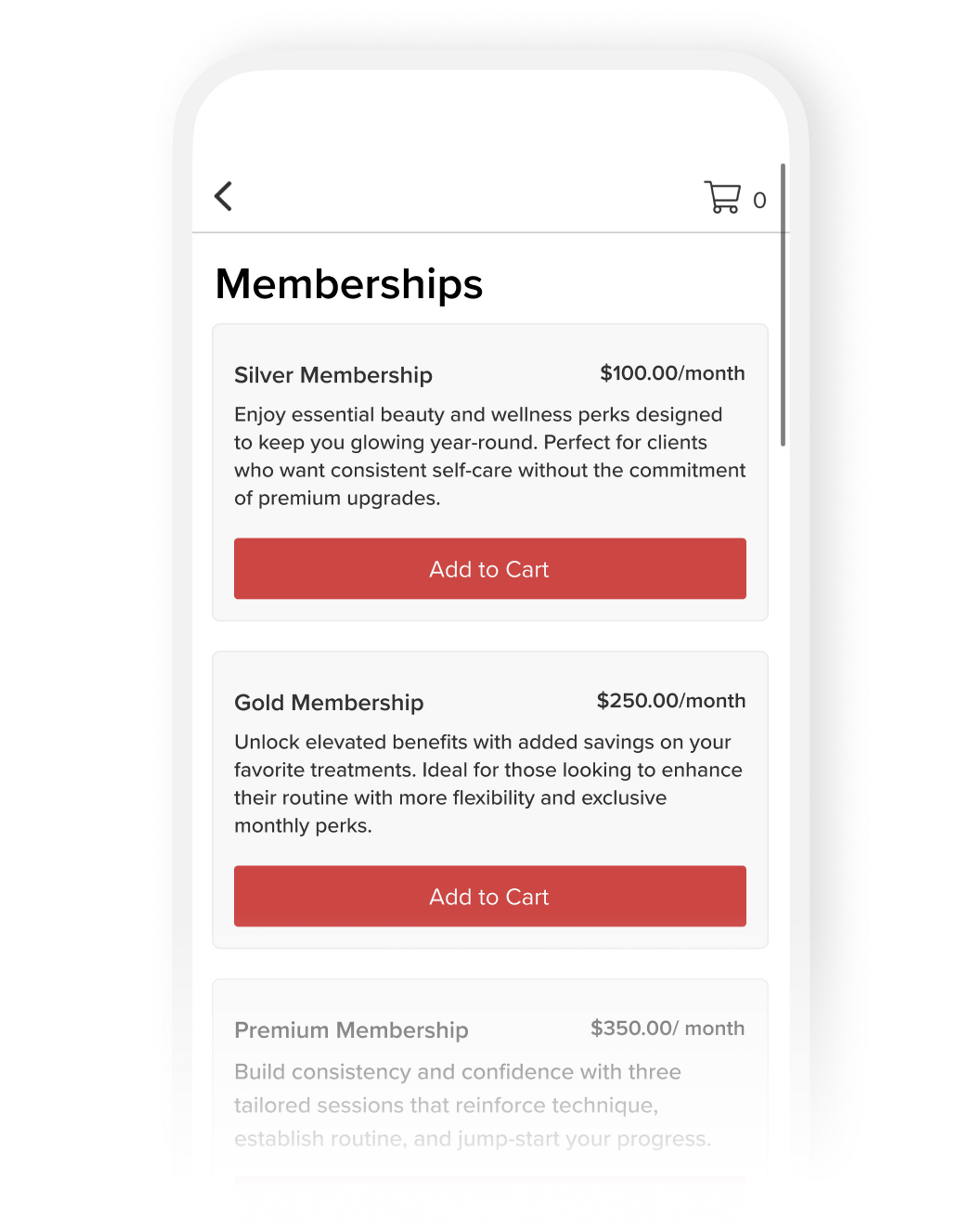 Mobile software screen showing a salon's memberships and packages offerings