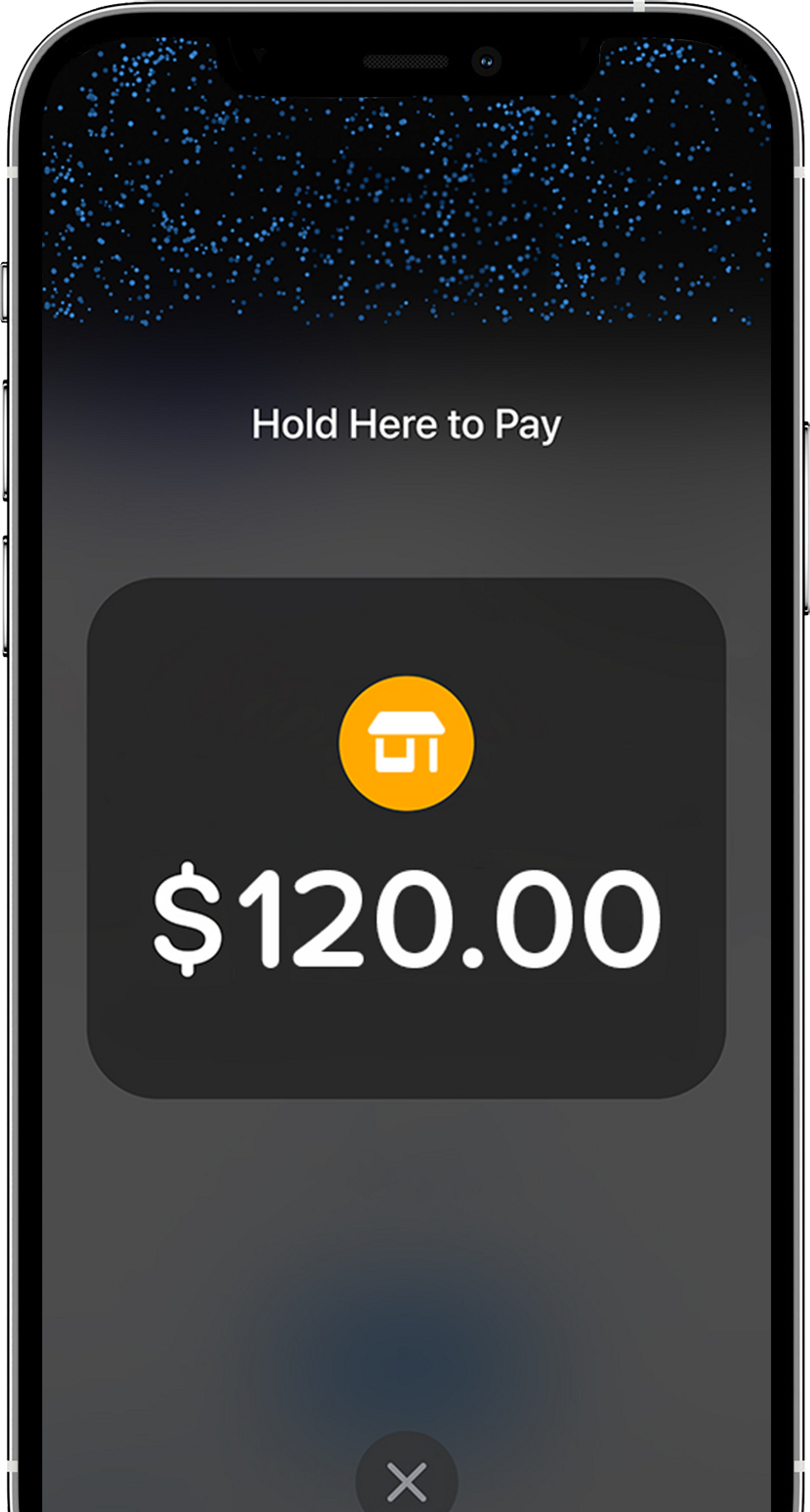 Vagaro Connect App Phone