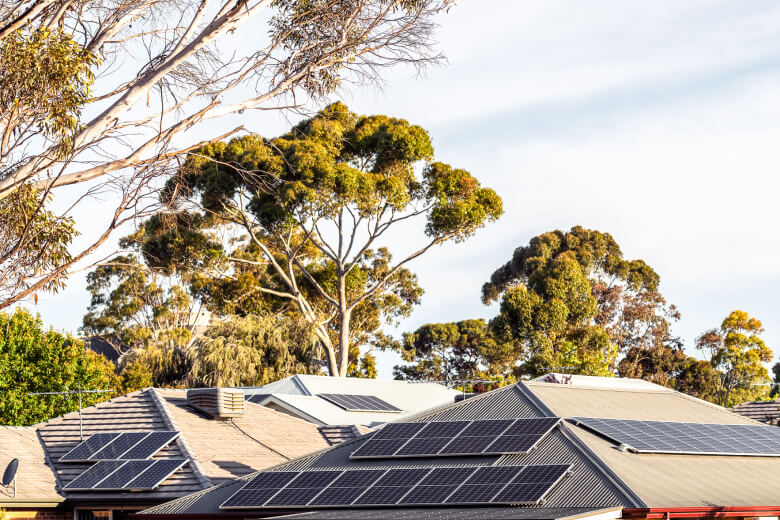 Three rooftops with solar panels installed, leafy green trees are dotted across the backdrop of a clear blue sky.