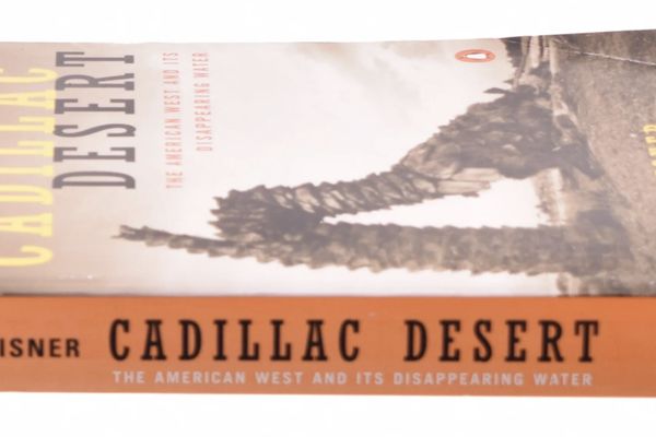 Book Review: Cadillac Desert
