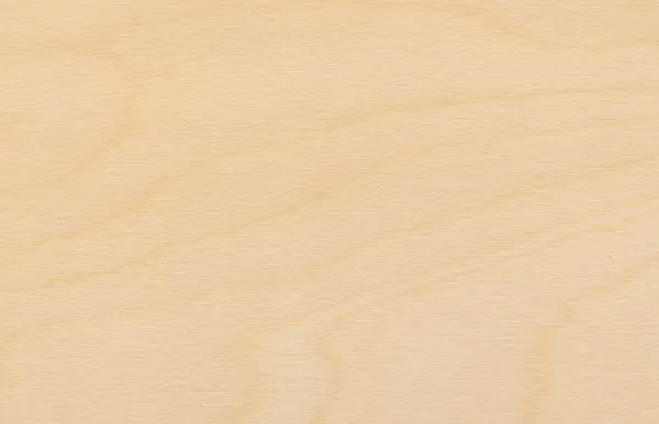 Birch_Wood-600x386.jpg.webp
