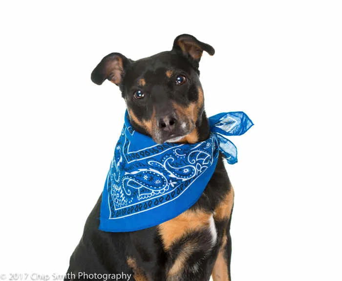 Meeka-Accuride-Employee-of-the-Quarter.jpg.webp