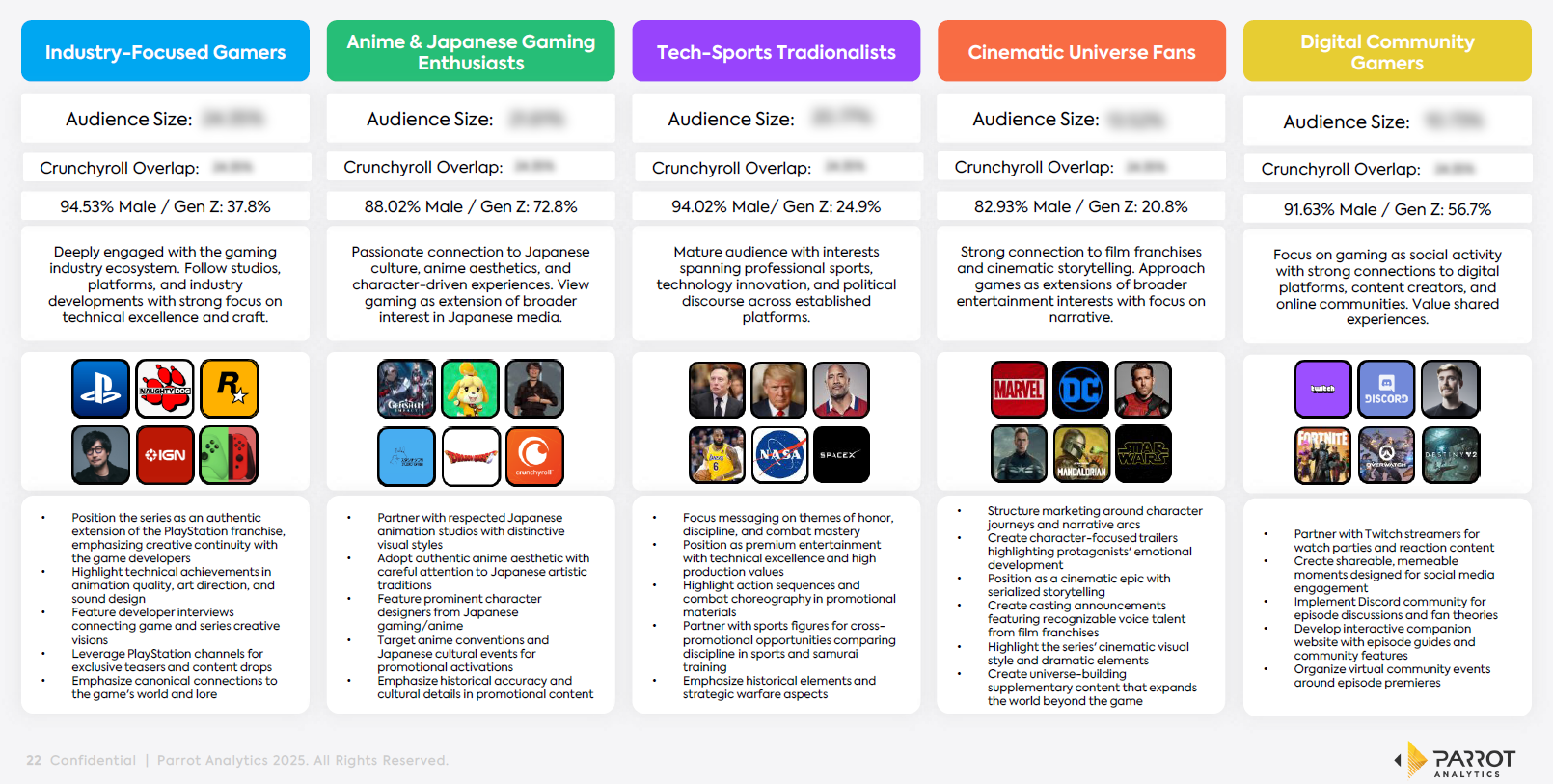 Audience persona summary with segment definitions and activation implications
