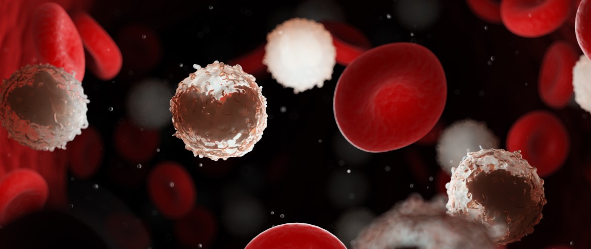banner_blogpost_sintomas_da_leucemia.jpg