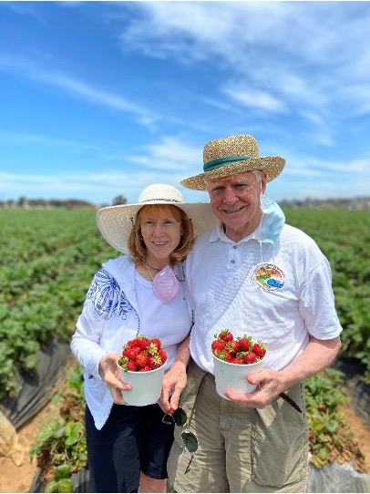 mcleod-strawberry-field.jpg