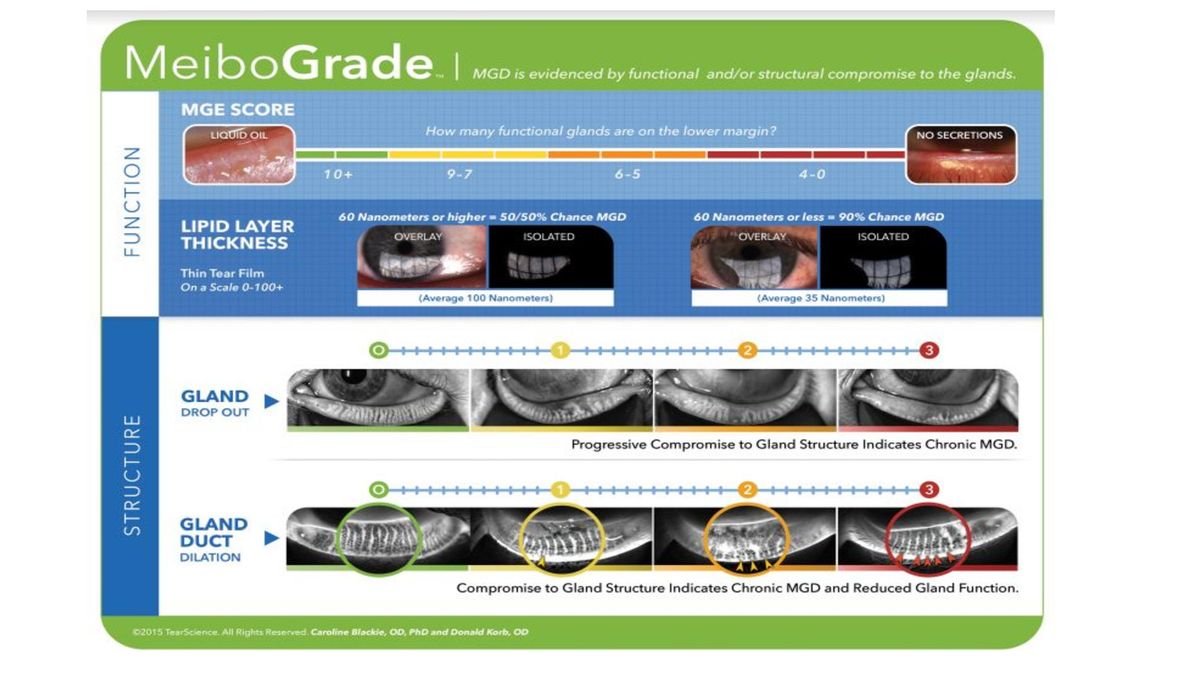 How to Treat Dry Eye Disease 2021.04.18 S.L.Cremers-page-011.jpg
