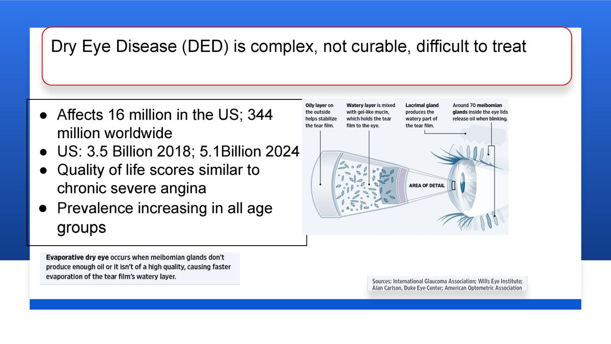 How to Treat Dry Eye Disease 2021.04.18 S.L.Cremers-page-017.jpg