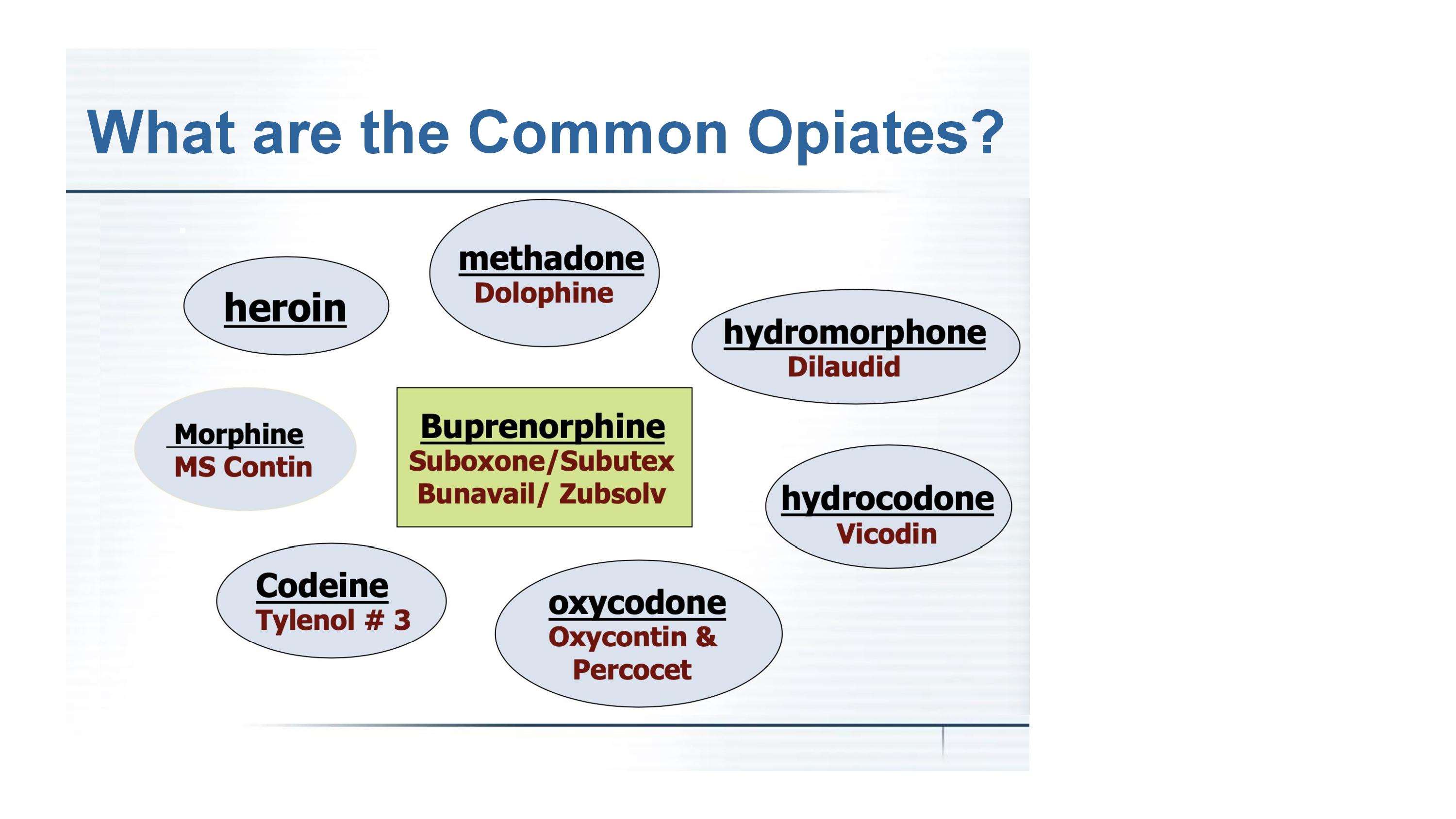Dr. Charles Pierce Presentation Final Version 06.20.21-page-034.jpg