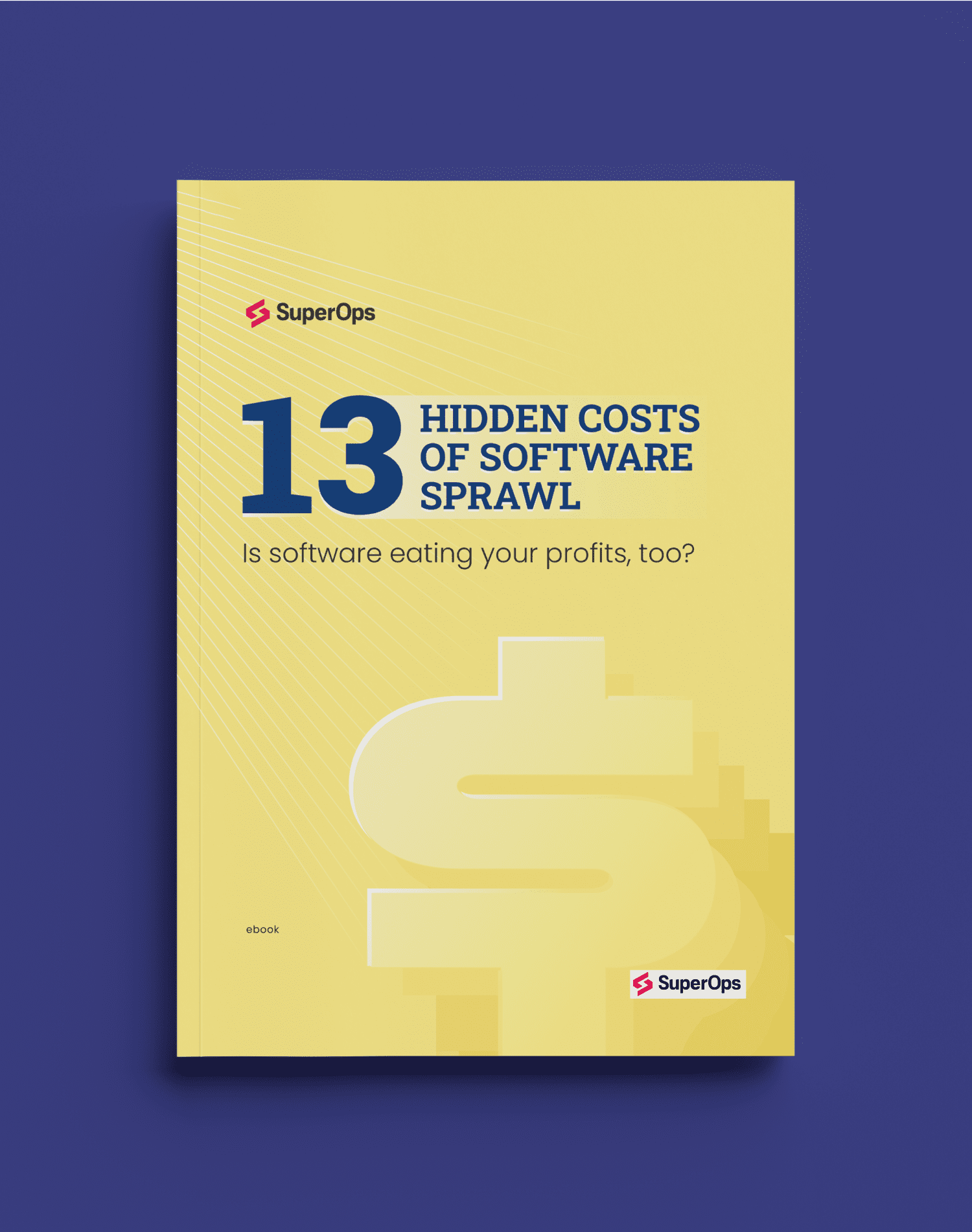 13 Hidden Costs of Software Sprawl
