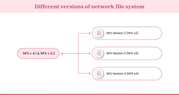 Versions of network file system