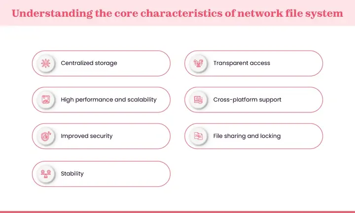 Features of network file system