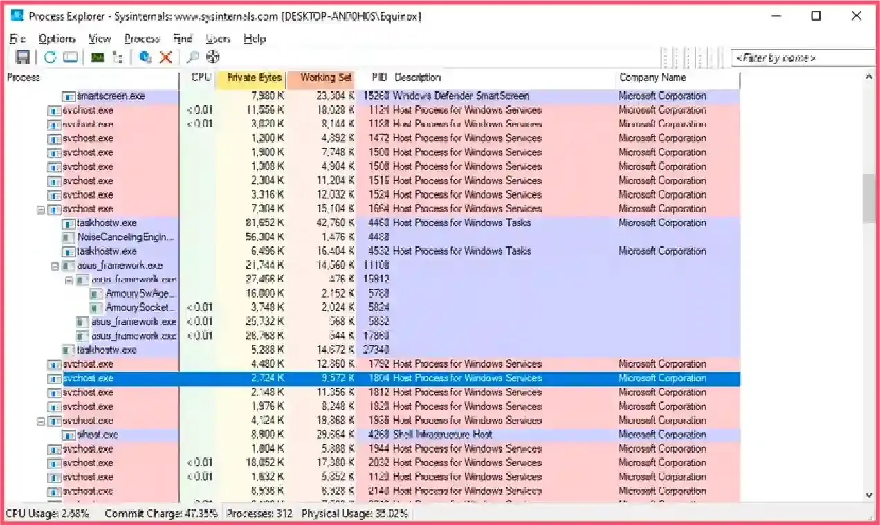 Check svchost.exe process using process explorer