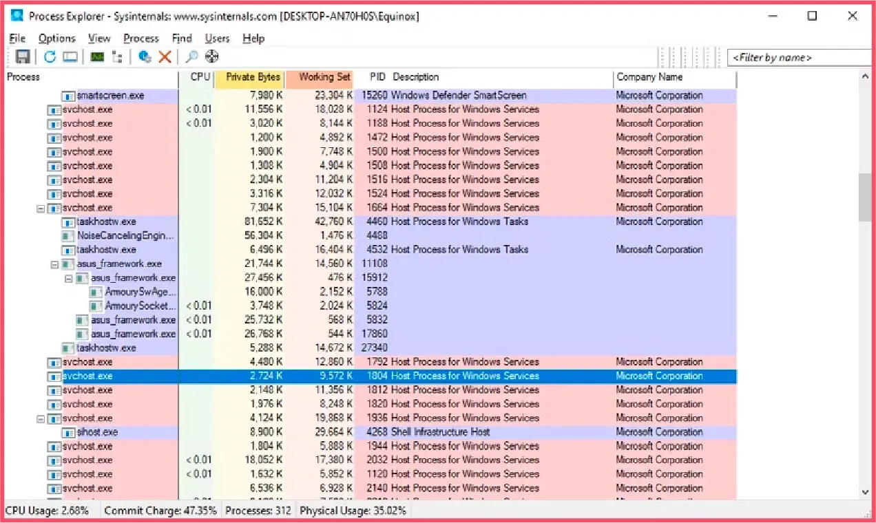 Check svc host.exe process using process explorer