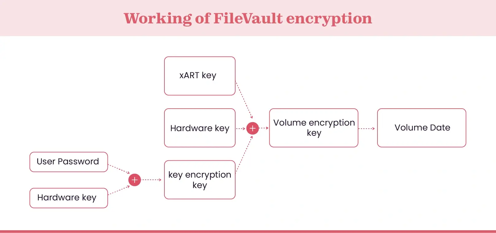 How does FileVault encryption work
