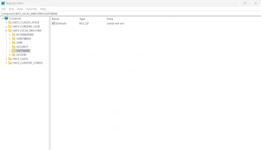Windows Registry Editor opened to SOFTWARE path