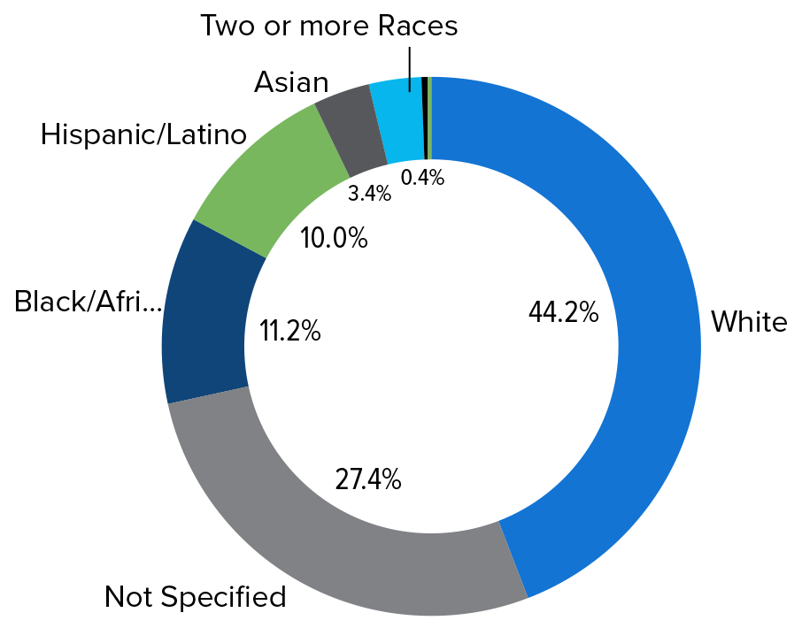 Ethnicity Pie Chart