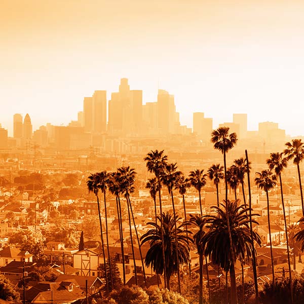 Los Angeles skyline with palm trees 