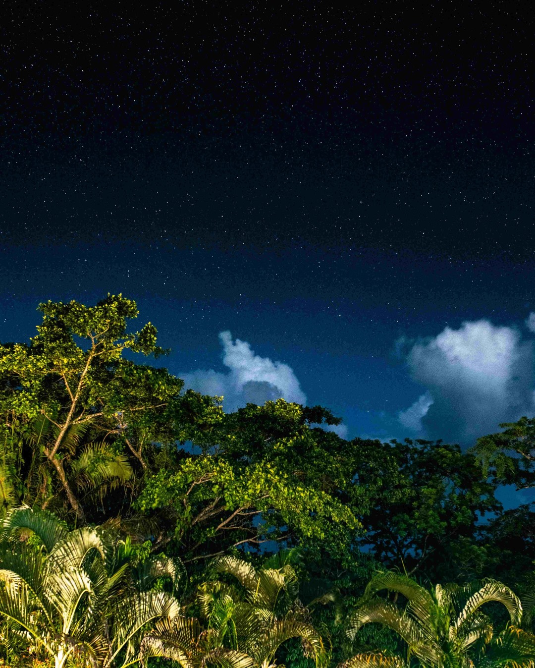 Cave Kayaking and Jungle Overnight in Belize