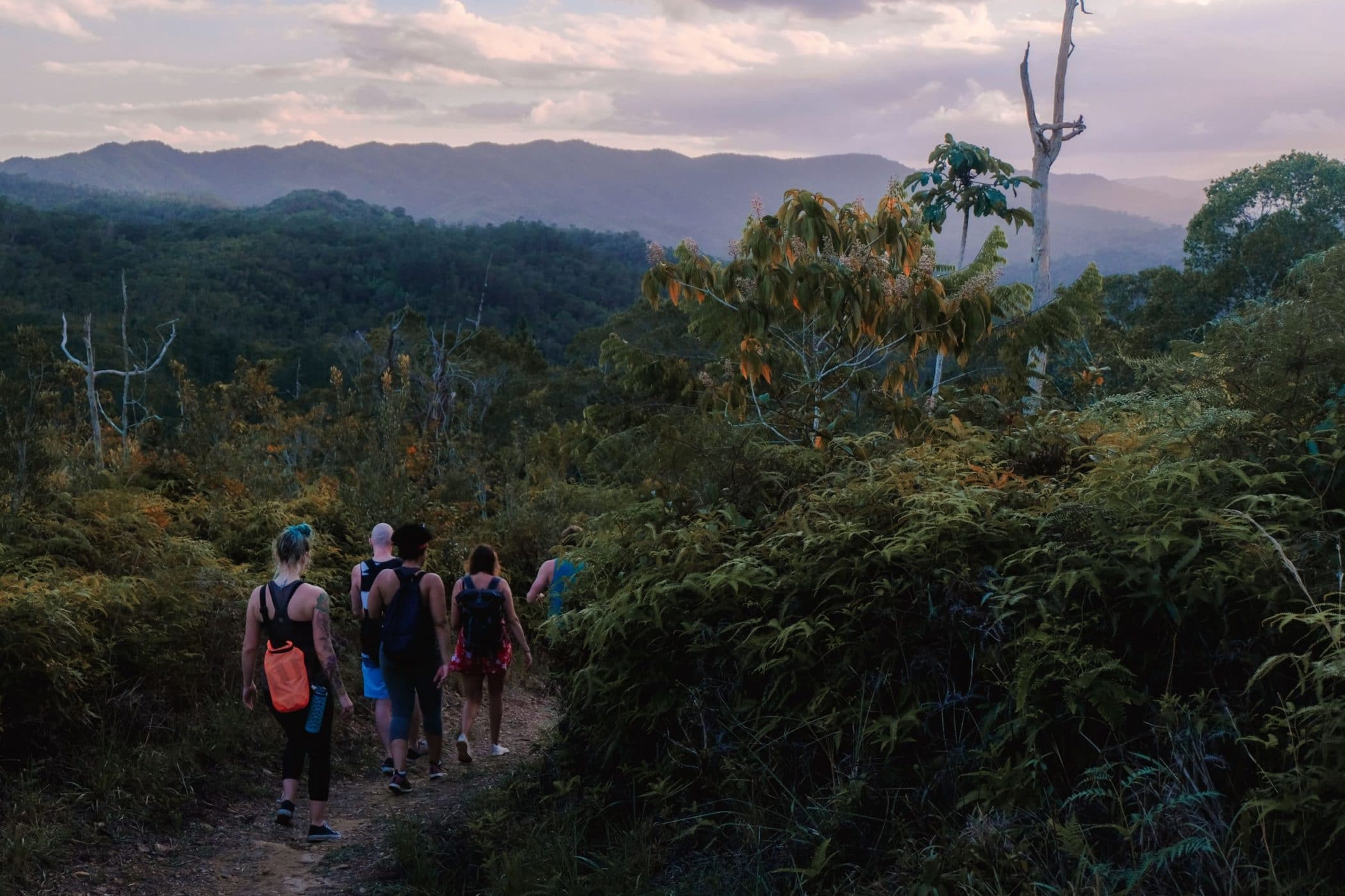 Jungle Trek in Belize 