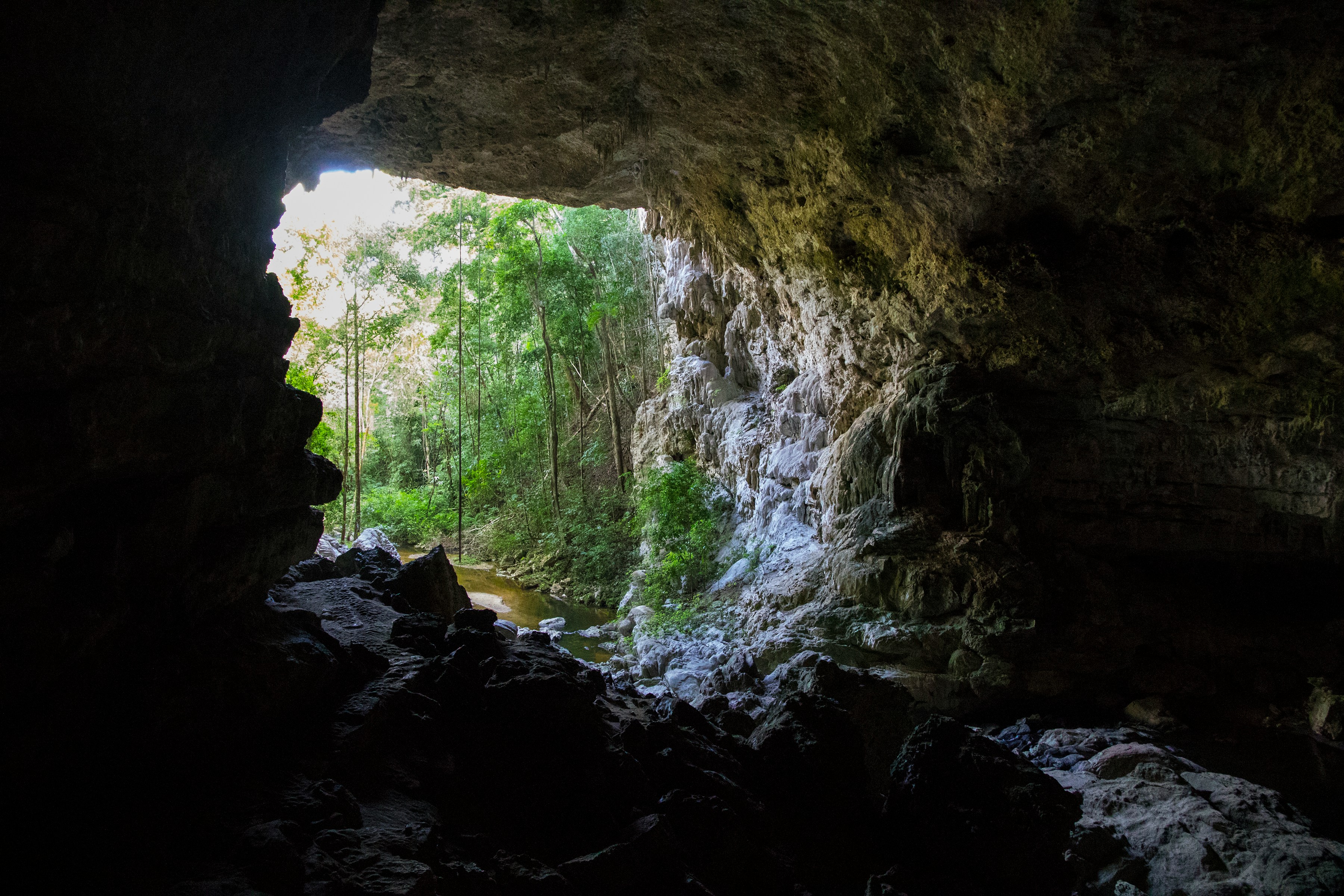 haunted forest in belize