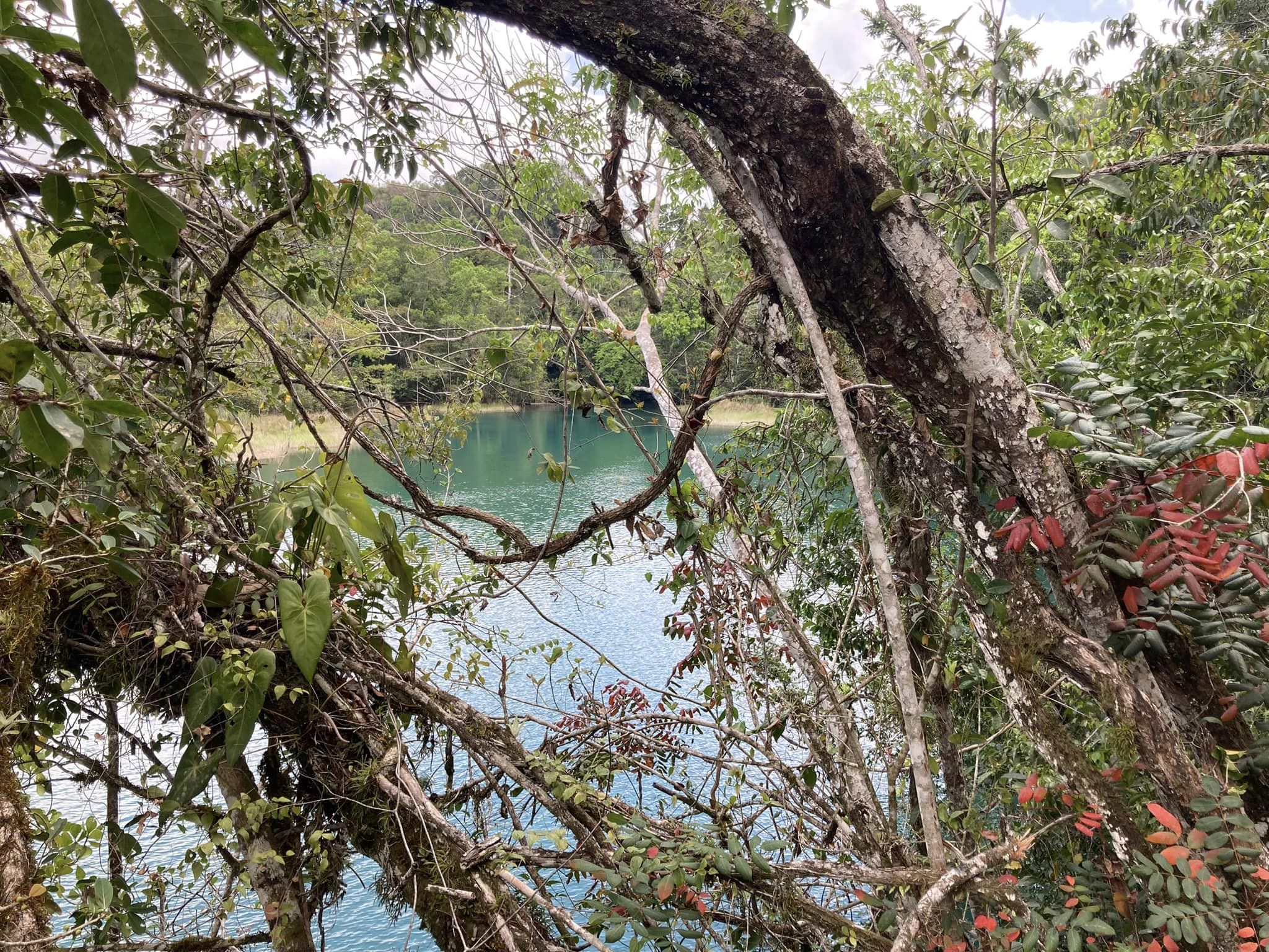 Five Blues Lake in Belize