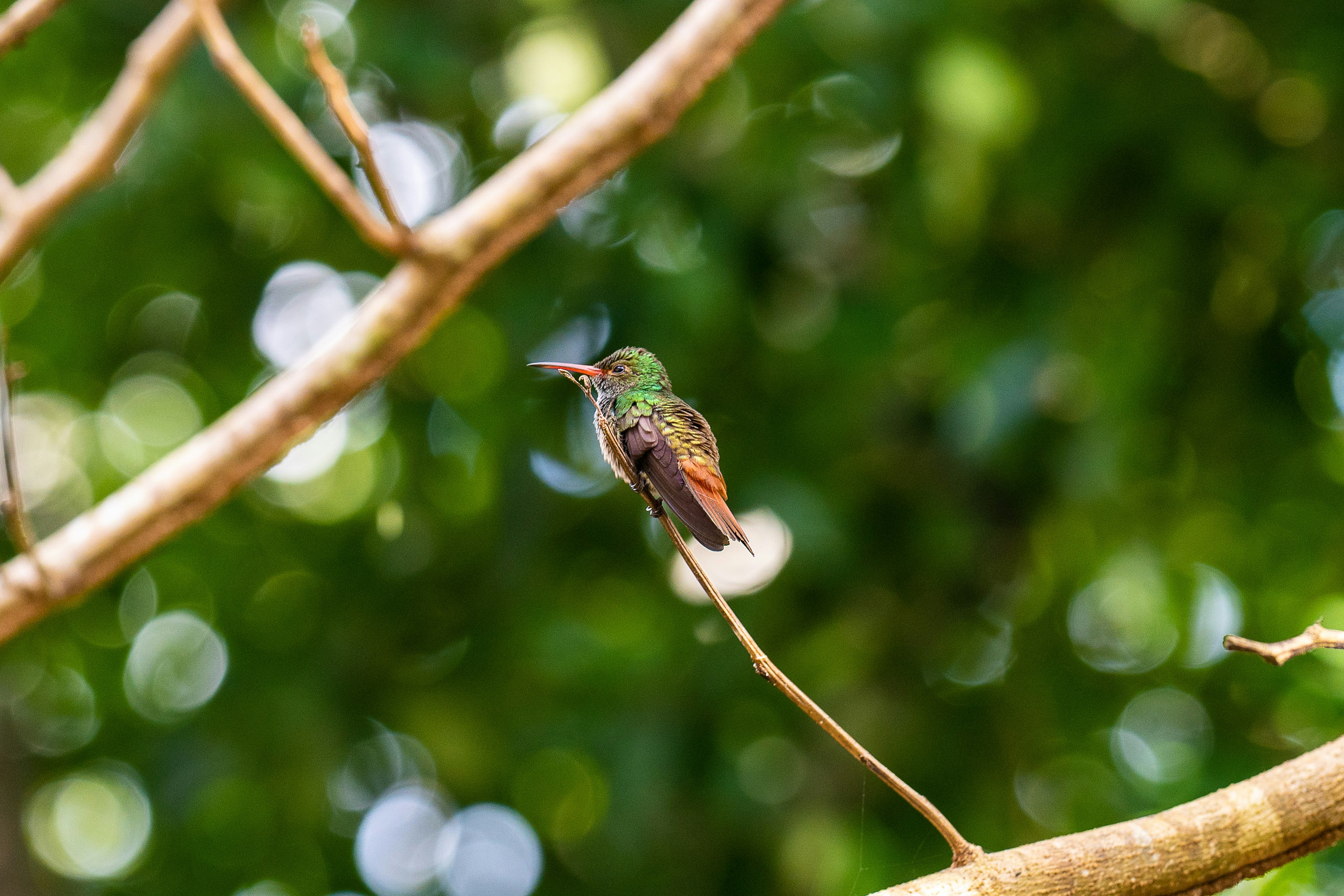 Visit Lamani in Belize