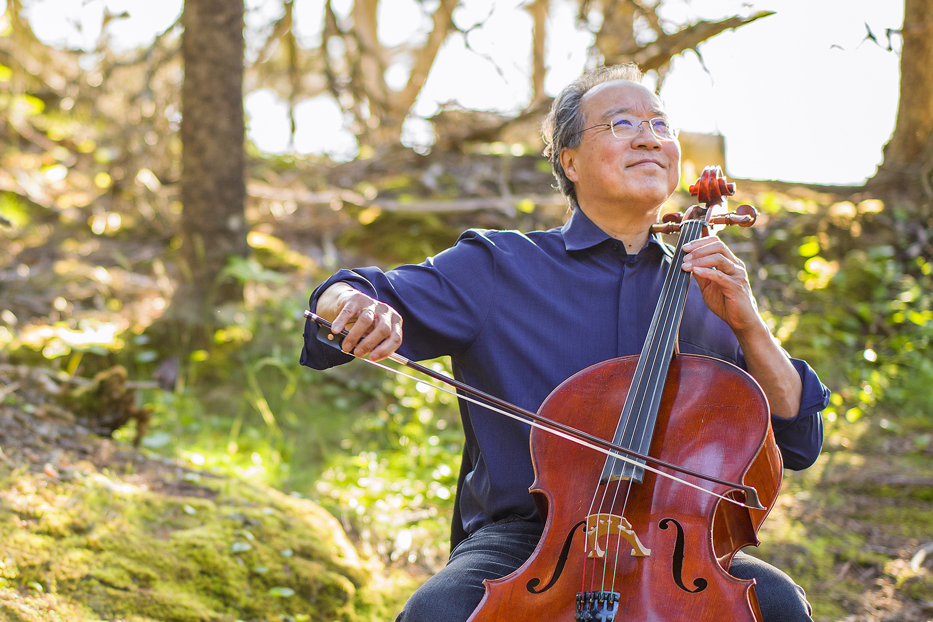 Yo-Yo Ma playing his cello outside in the trees on a sunny day. 