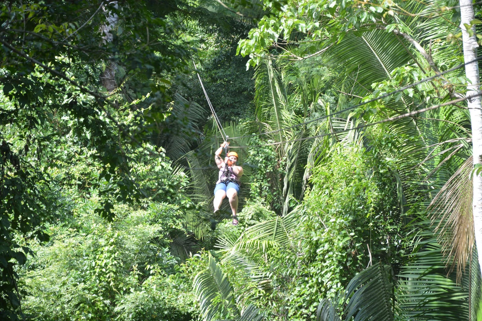 zipline in Jaguar Paw