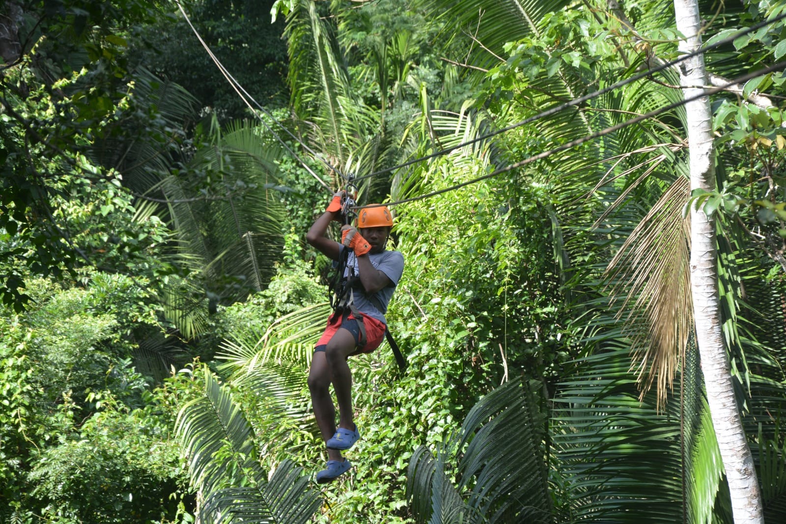 zipline in Jaguar Paw