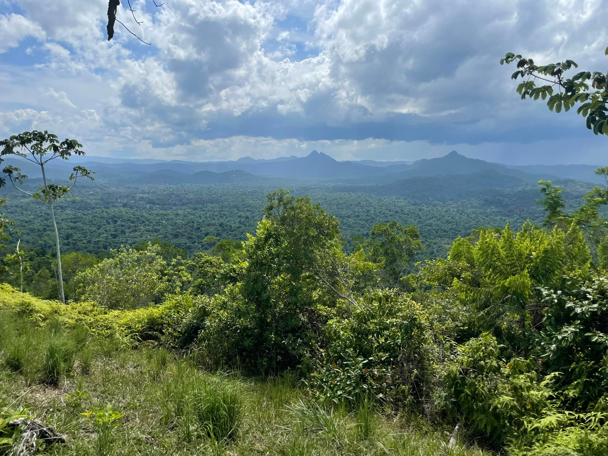 Horseback Riding in Belize